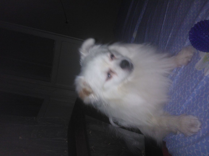 Наталья Липатова | Нижний Новгород