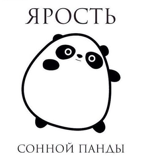 Евгения Кошева | Москва