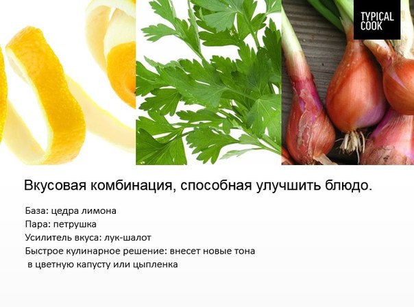 Екатерина Дубровина | Москва