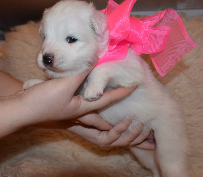 Анастасия Соломина | Ханты-Мансийск