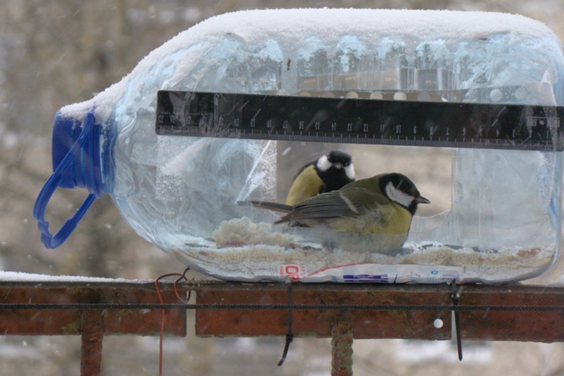 Юра Юрин | Дедовичи