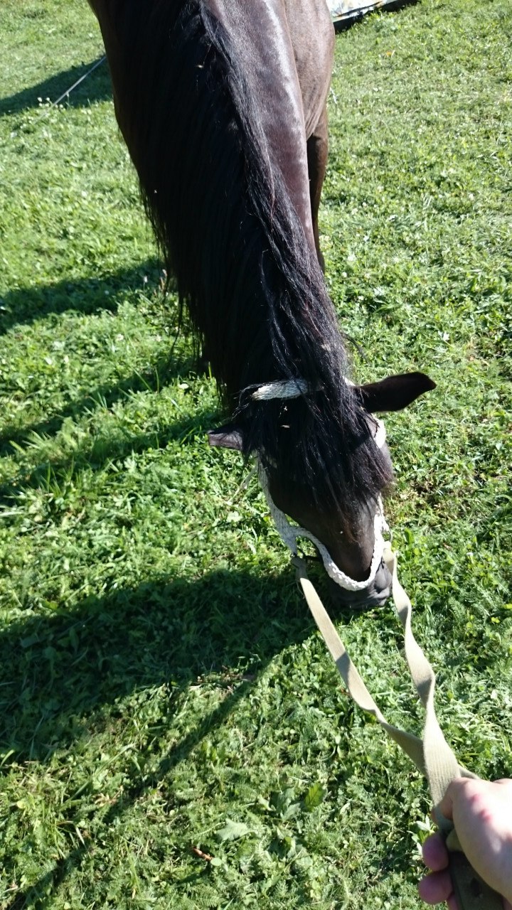 Мария Дяченко | Москва