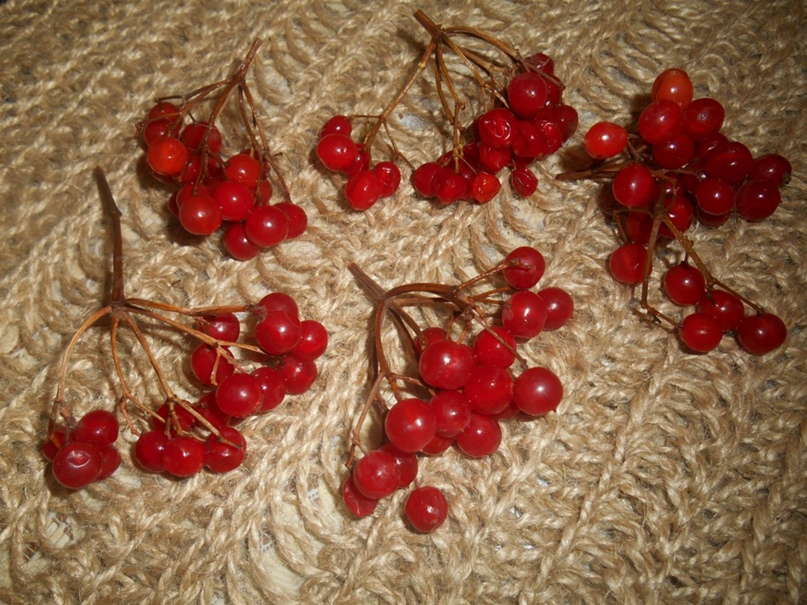 Елена Караваева | Ростов-на-Дону