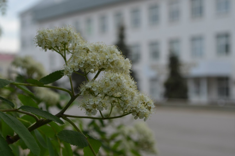 Сергей Медведев | Красноярск