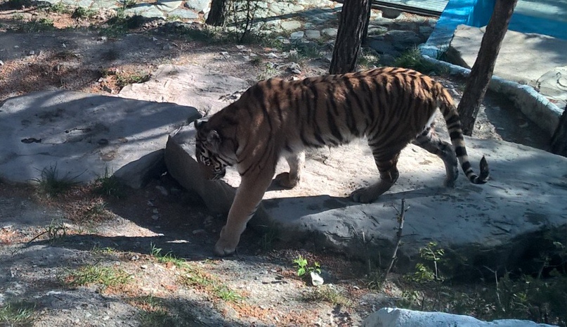 Александр Катков | Новороссийск