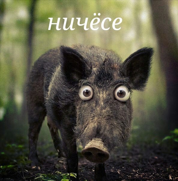 Иван Зубарев | Темрюк