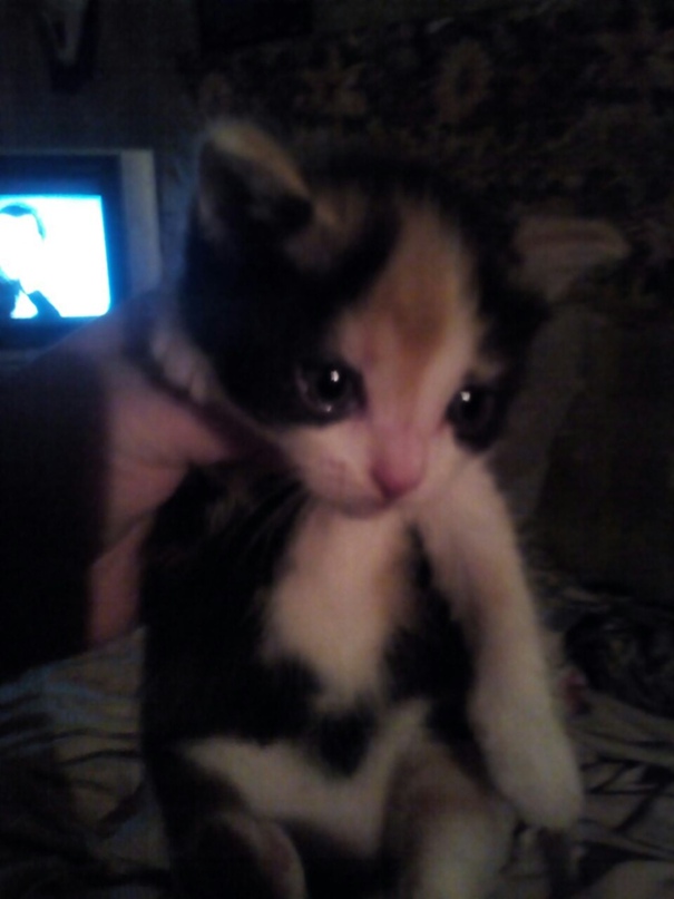 Алексей Самуйлов | Санкт-Петербург