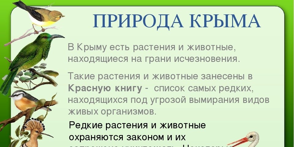 Бирюлёвский дендропарк ГПБУ "Мосприрода" ВКонтакте