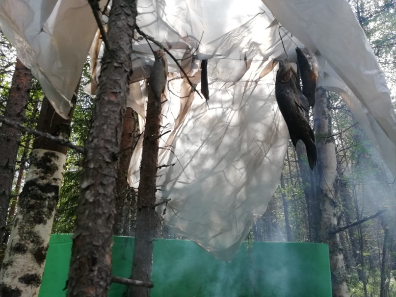 Павел Цыганков | Брянск