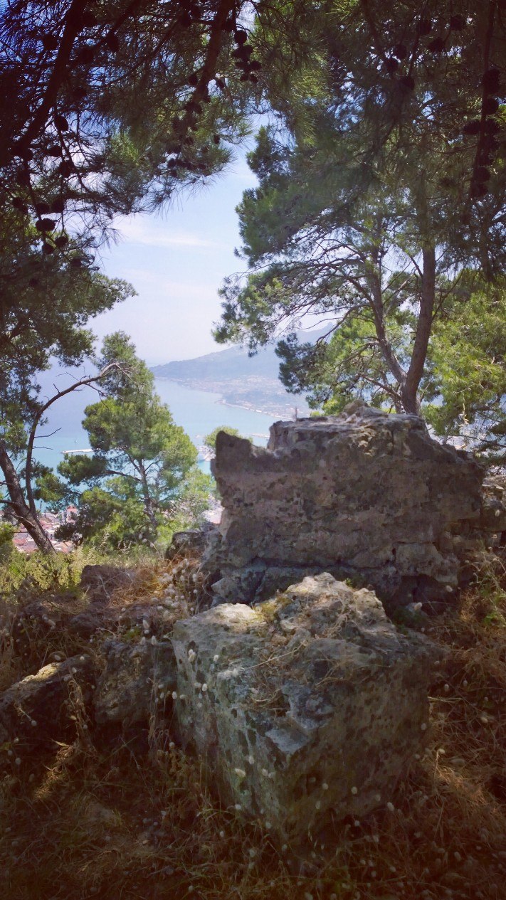 Денис Емельянов | Гатчина