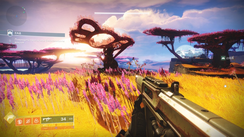 Юлия Денисова Меевир | Los Gatos