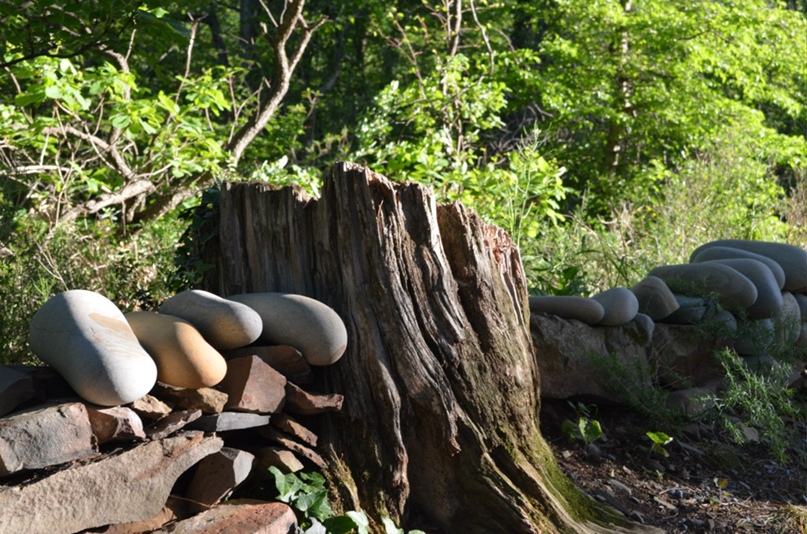 Роман Петренко PaM4uLLI | Новочеркасск