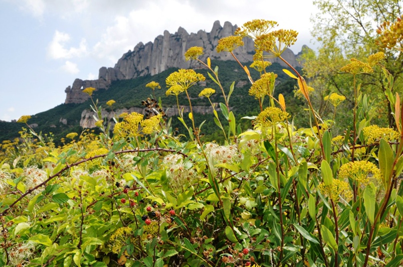 Светлана Егорова | Москва