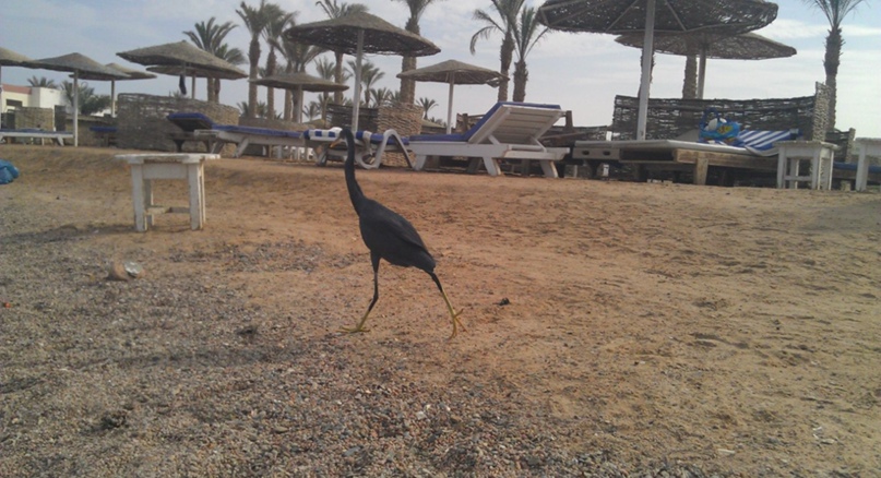 Дима Кузьмичев | Санкт-Петербург