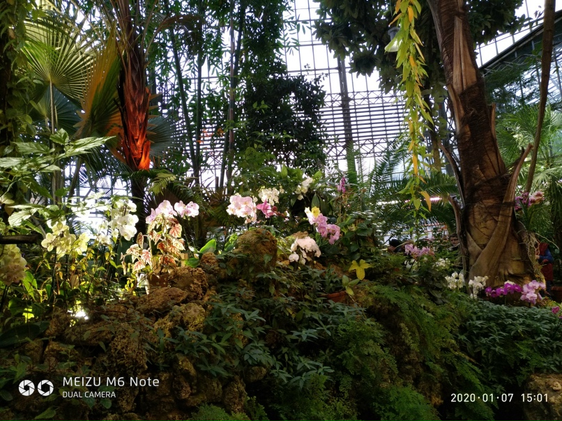 Ирина Веселова | Санкт-Петербург