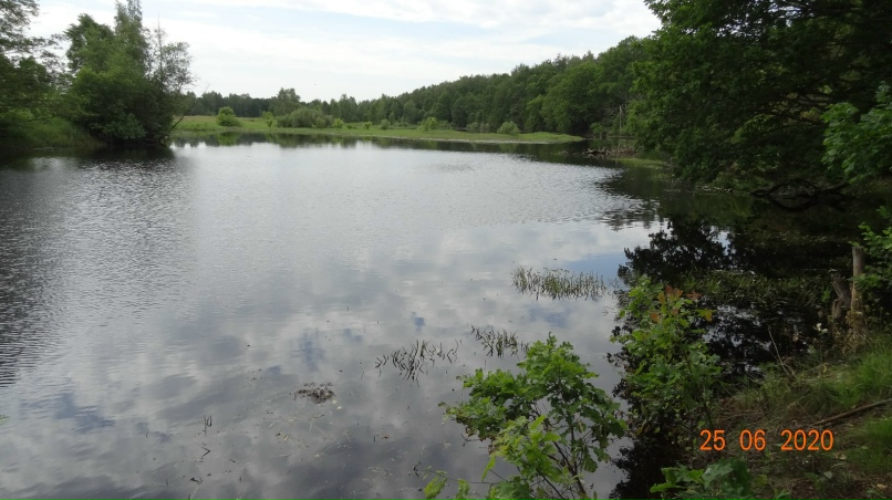 Ruslan Medvedev | Покров