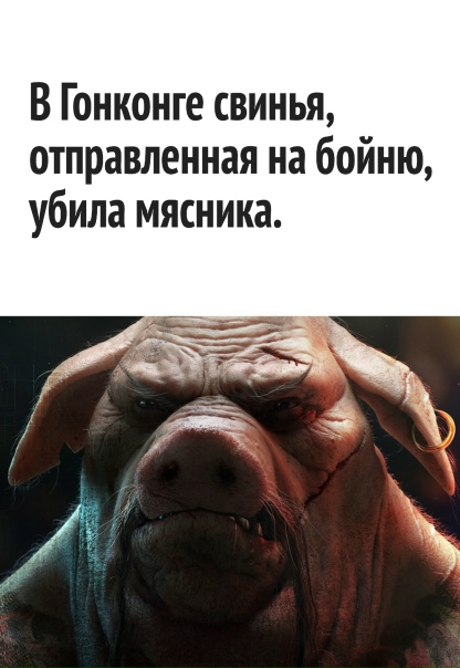 Переиграла и уничтожила... Во всех смыслах. Свинья просто очень хотела жить..