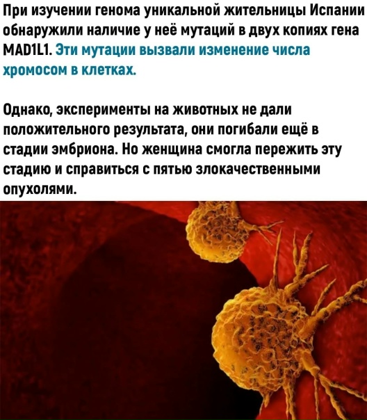 Она действительно смогла перебороть эту тяжесть