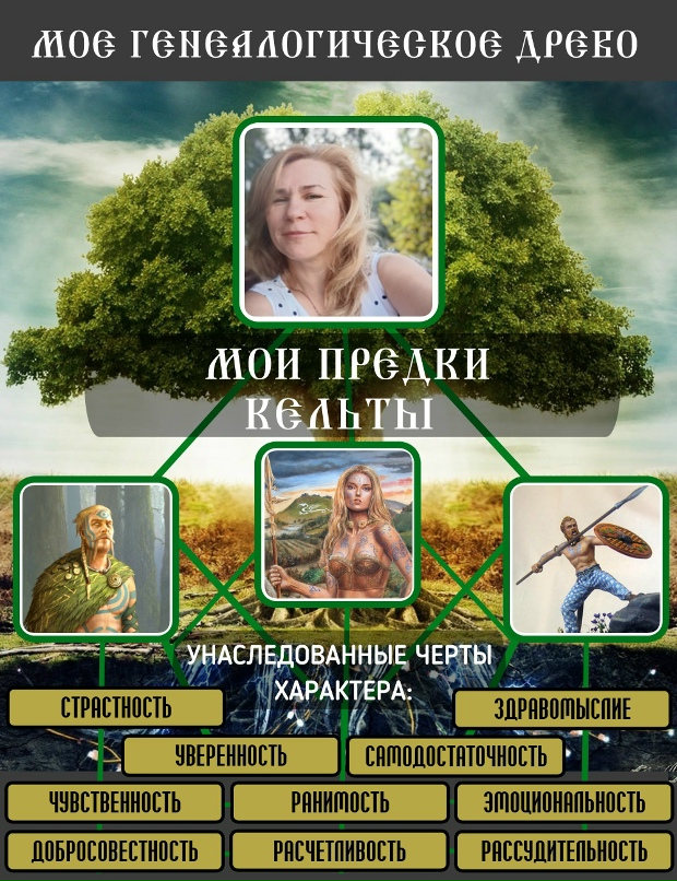 Ирина Кузнеченкова | Сланцы