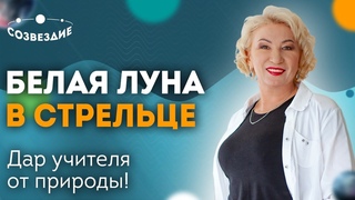 Белая Луна в Стрельце: Кем вы были в прошлой жизни Селена в знаках Зодиака // Астролог Елена Ушкова