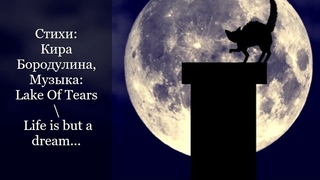 Кира Бородулина, Redmoon answer