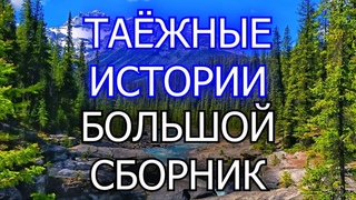Таёжные Рассказы. Большой Сборник | Мистические Страшные Истории | Необузданная Жизнь
