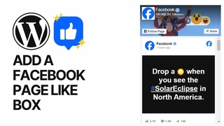 How to Add a Facebook Page Like Box or Fan Box in WordPress Without Plugins? Tutorial 👍
