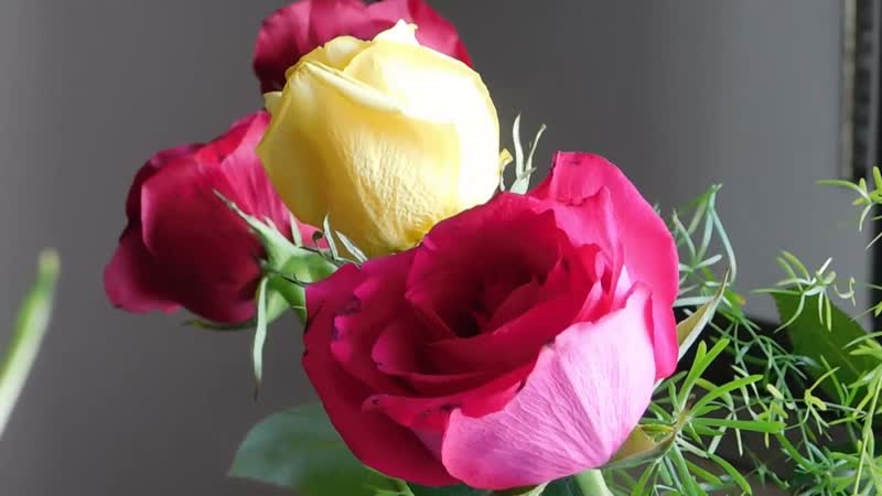 Bonitas flores y Rosas en general. Хорошие цветы и розы в