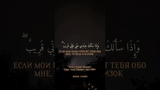 • |  Чтец: «Умайр Шамим»• |  Сура: «6» «Аль-Бакара»• |  Аяты: «186»