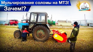 “Давай на тыщу“, или как настраивали мульчер ПН-2. Горыныч “бастует“. Колхозный “стройбат“.