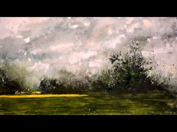 The rapeseed