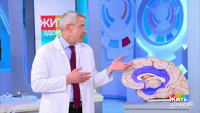 Труба правды. Сестренка сирота. Жить здорово Фрагмент