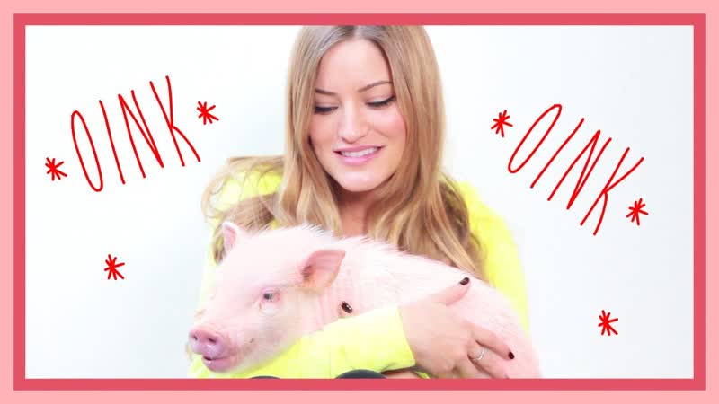Micro Pigs , i