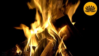 Sound of the night forest and the gentle noise of the campfire.