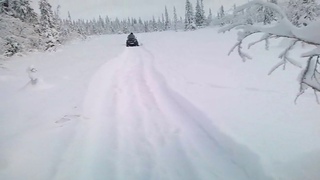 Народная лыжня