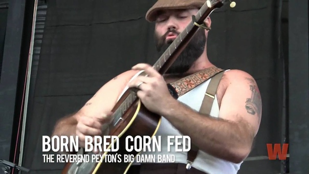 The Reverend Peytons Big Damn Band live at Vans Warped Tour,