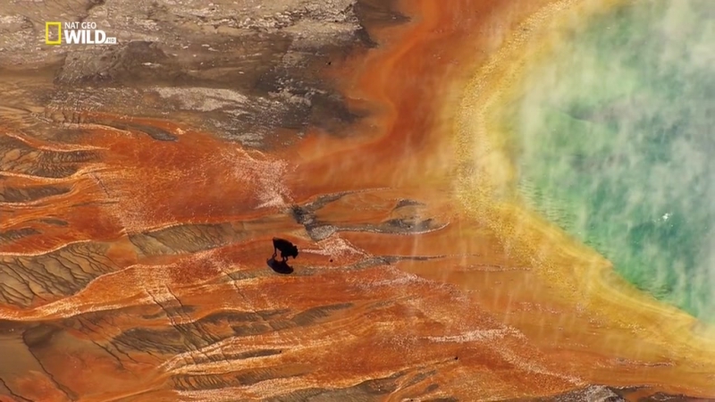 Национальные парки Америки. Йеллоустоун, Americas National Parks.