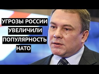 Провал политики Кремля. Уже и Финляндия задумалась о вступлении в НАТО