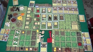 Агрикола - играем в настольную игру, board game Agricola