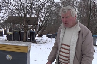 Эффективные Ульи Василия Приятеленко: Устройство, Рамки и Успешная Зимовка