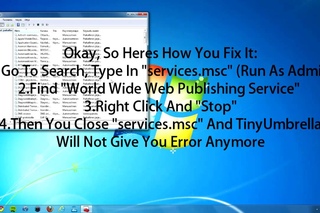 How To Fix TinyUmbrella Error System(PID:4) Must Be Killed!!