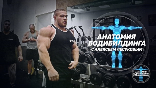 ТРЕНИРОВКА ГРУДЬ. Упражнение 2. Разведение гантелей на