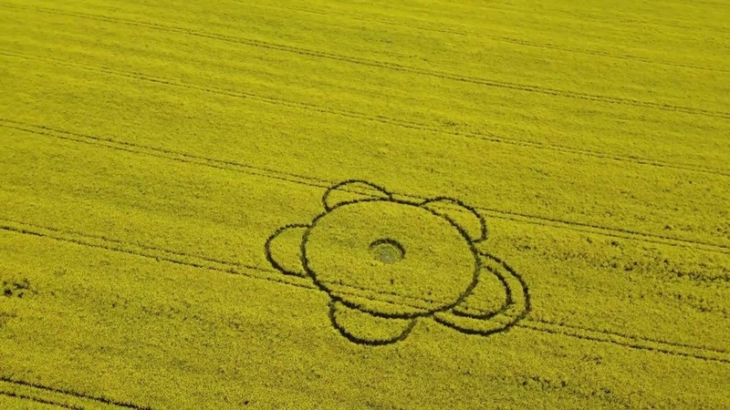 Crop Circle and Dutch Barn in a Rape seed