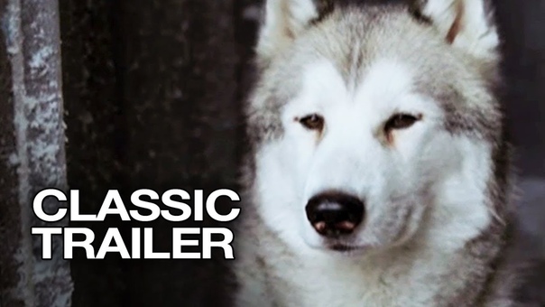 Eight Below (2006) Official Trailer, 1 Paul Walker Movie