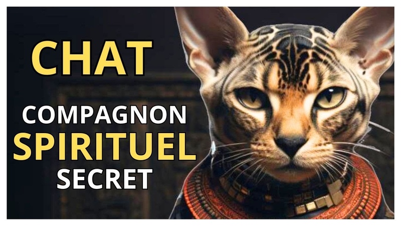 Les Chats : Gardiens Mystiques de notre