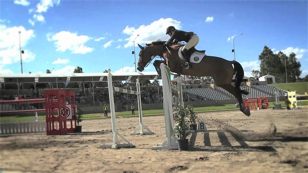 Summer Classic Showjumping