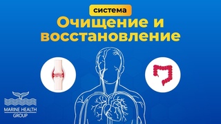 Система Очищение и восстановление