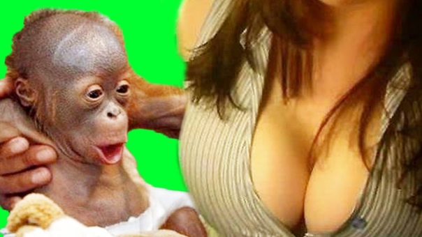 CLEAVAGE