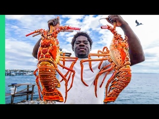 Bahamas MEGA-SIZED Lobster!! Carribean’s Eye-Popping Seafood!!