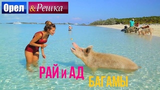 Орел и решка. Рай и Ад - Райские Багамы  (1080p HD)